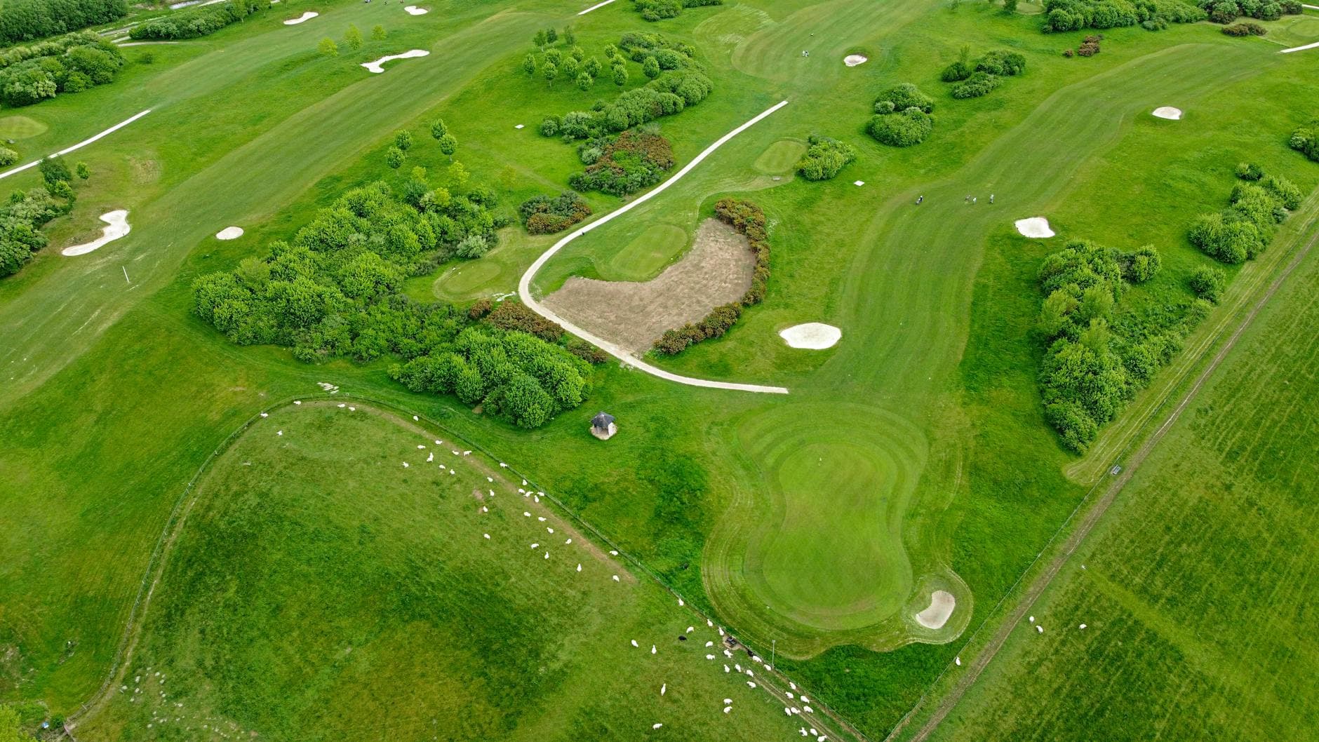 The Scratch Golfer's Strategic Edge: Advanced Course Management for Single-Digit Handicappers
