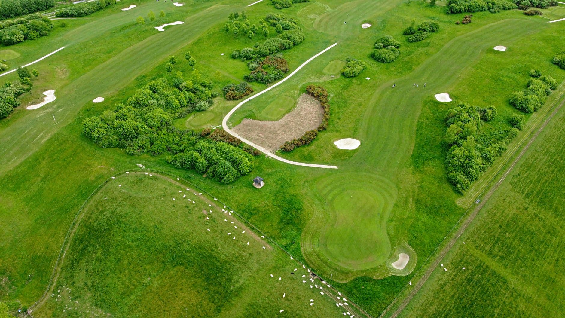 Shinnecock Hills: Wind, Rough & Zero Mercy