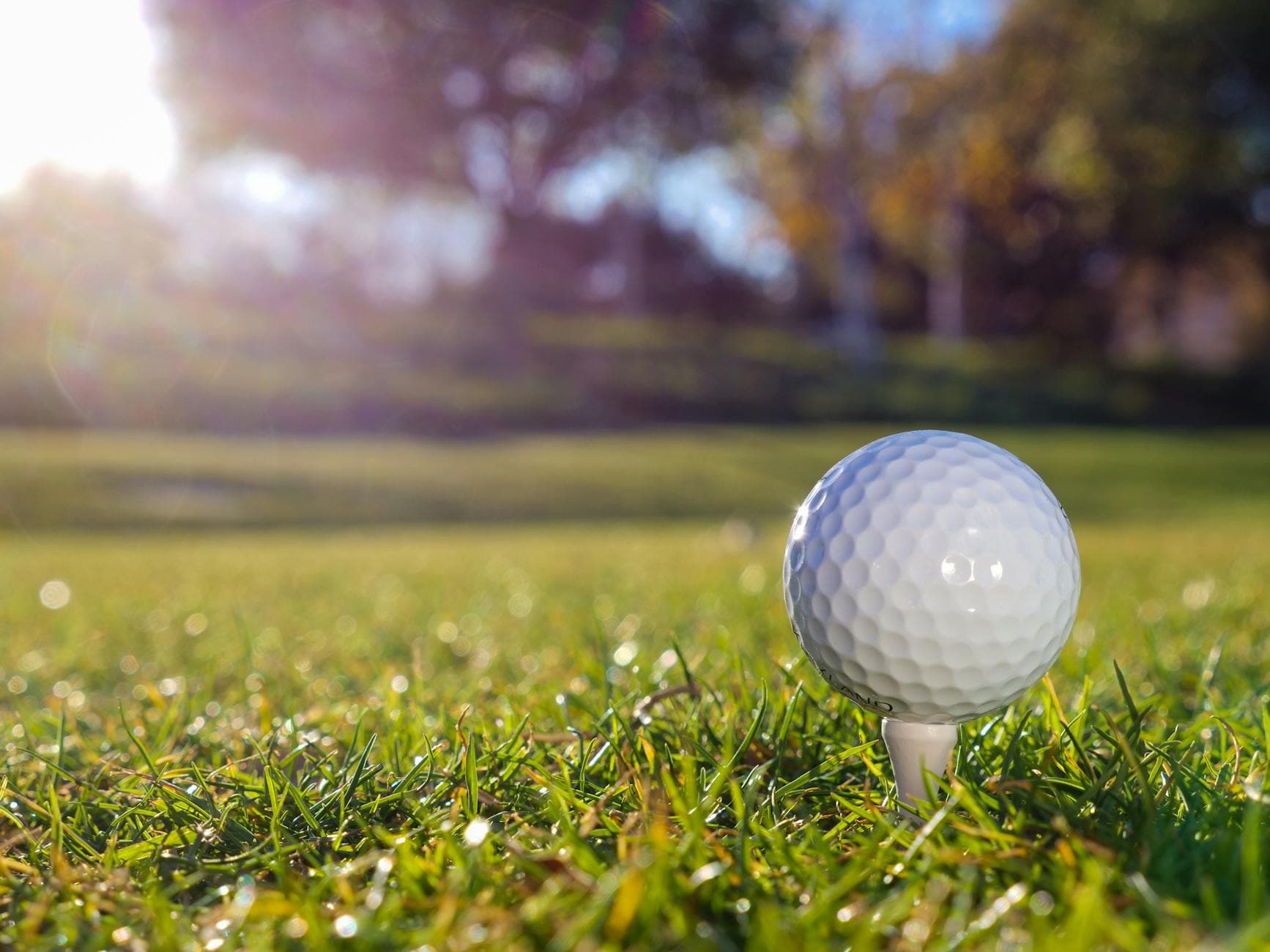 Pro Golf in March 2026: What's Shaping the Season